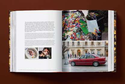 Ai Weiwei. Updated Edition (German, French, English)