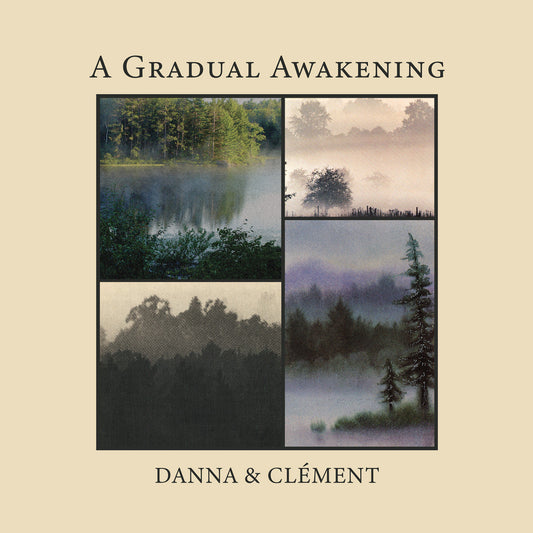 Danna And Clément - A Gradual Awakening (VINYL) | Mint (M) Mint (M)