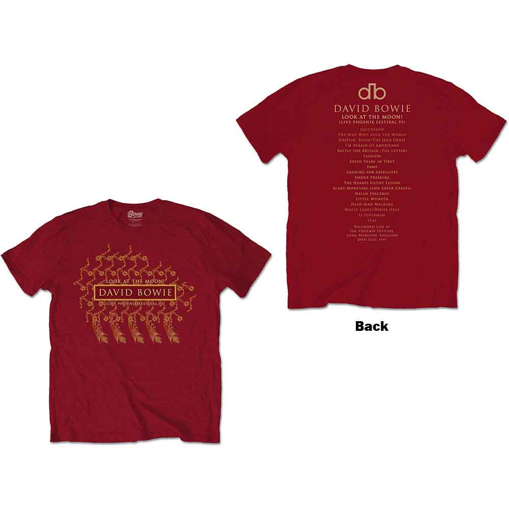 Pheonix Festival |