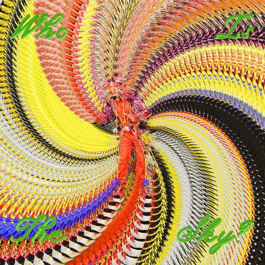 Who Is The Sky? (CD) | Mint (M) Mint (M)