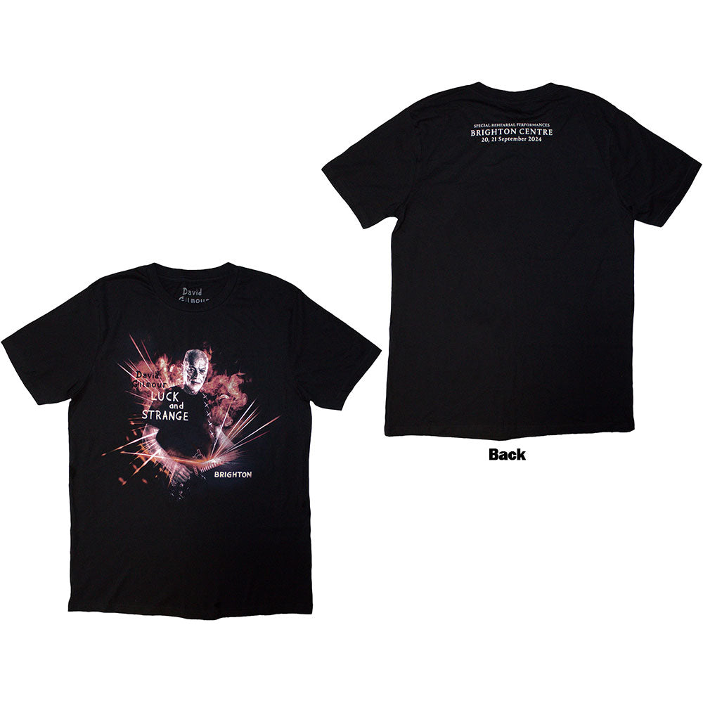 David Gilmour - Luck & Strange Brighton |