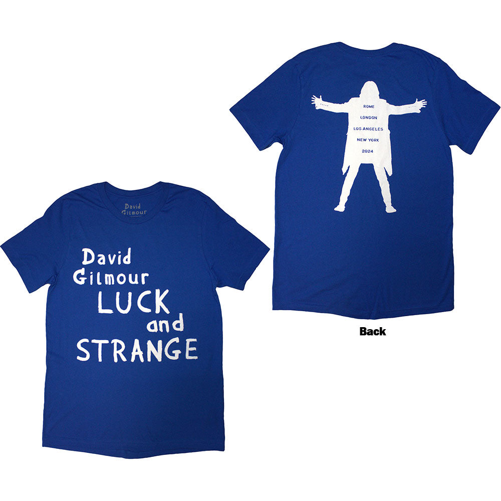 David Gilmour - Luck & Strange Logo |