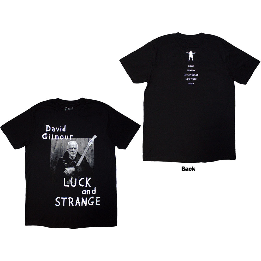David Gilmour - Luck & Strange Portrait |