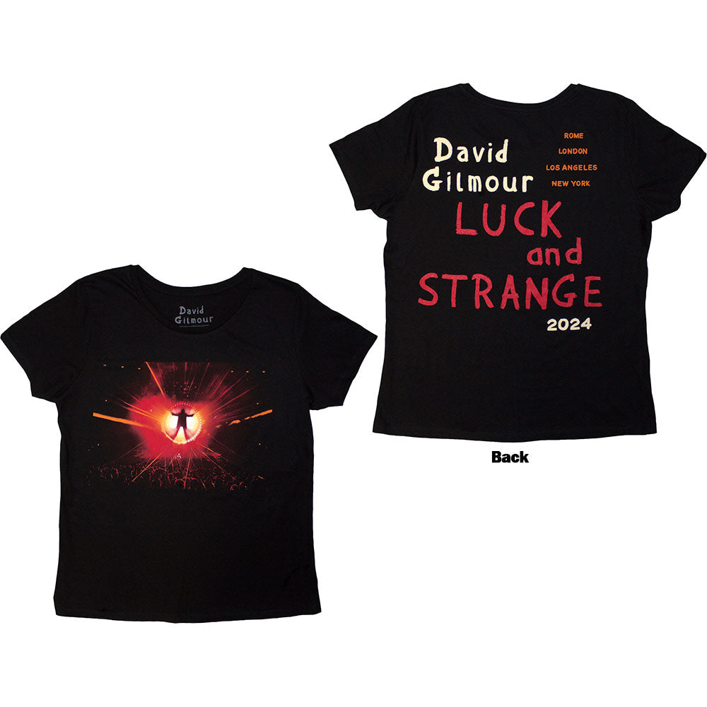 David Gilmour - Luck & Strange Stage Shot |