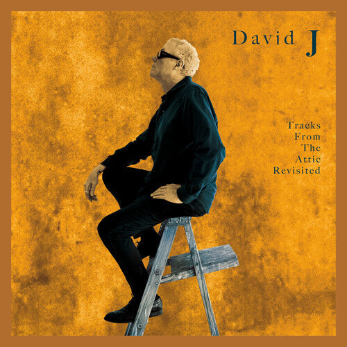 David J - Tracks From The Attic Revisited |