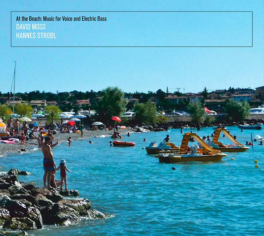 At the Beach: Music for Voice and Electric Bass |