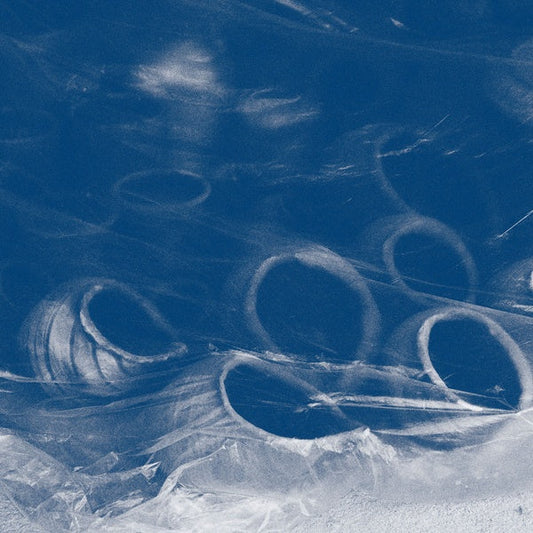 The Shell That Speaks The Sea |