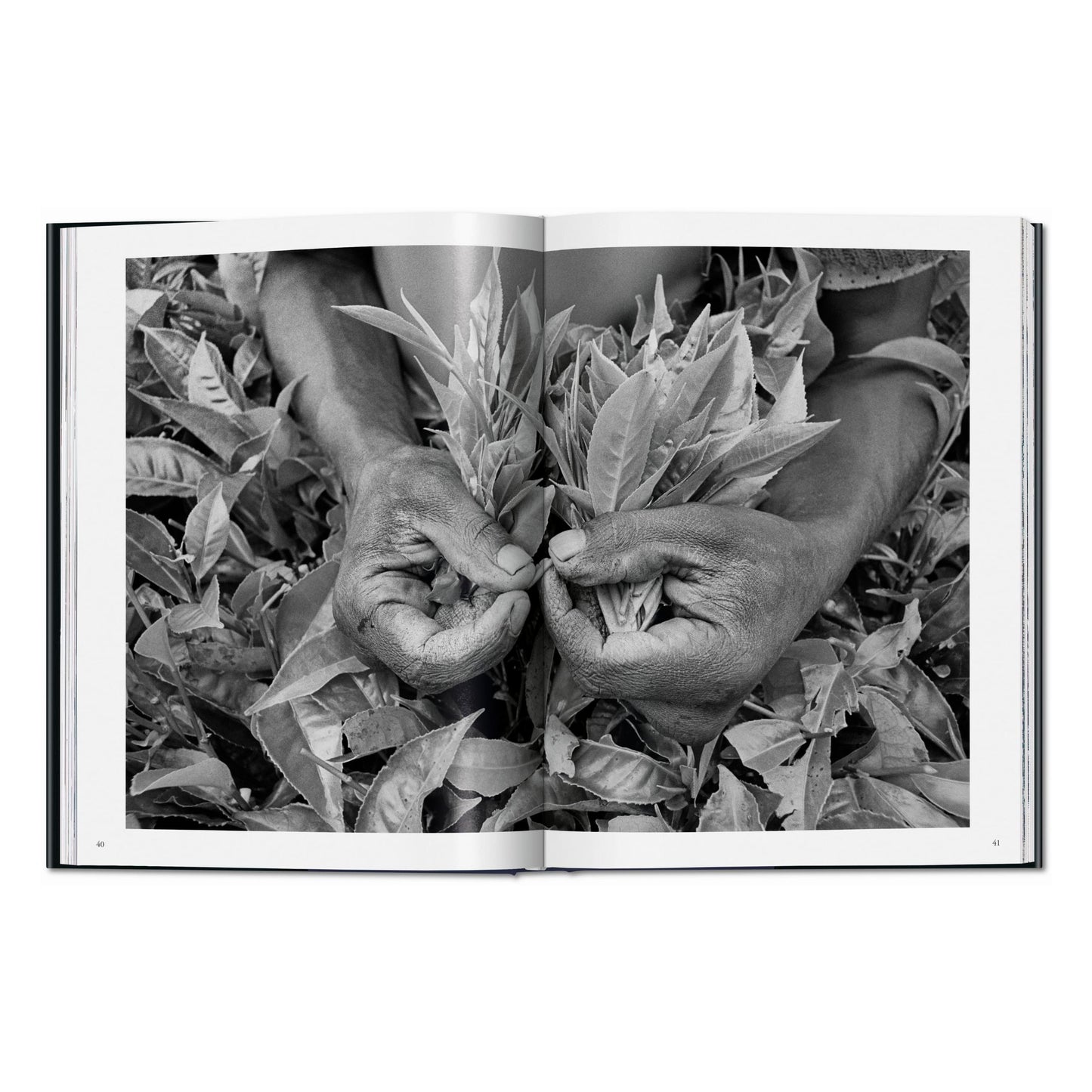 Sebastião Salgado. Workers. An Archaeology of the Industrial Age (English)