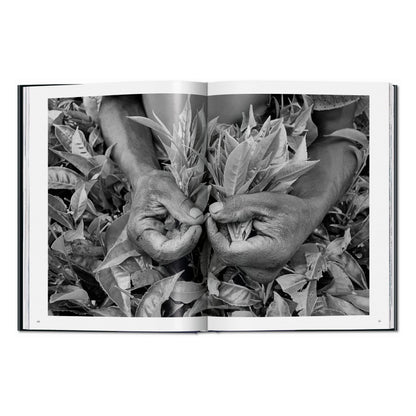 Sebastião Salgado. Workers. An Archaeology of the Industrial Age (English)