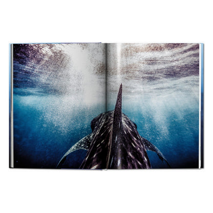 Michael Muller. Sharks (English)