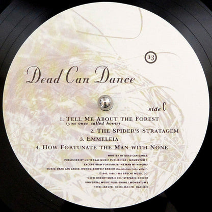 Into The Labyrinth | Mint (M) Mint (M)