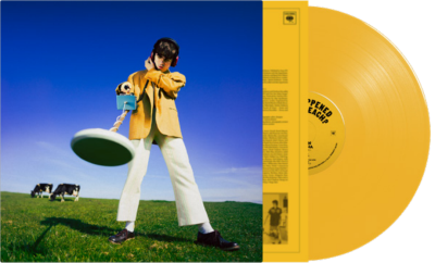 Declan Mckenna - What Happened to the Beach? (Yellow Vinyl) [INDIE EX] | Mint (M) Mint (M)