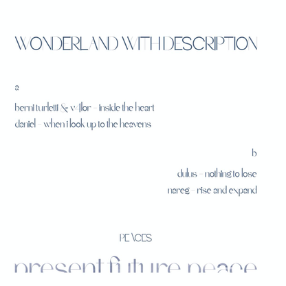 Various - (PRESALE) Wonderland With Description (WHITE VINYL) | Mint (M) Mint (M)