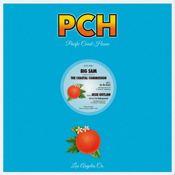 Coastal Commission - On the Rocks (VINYL) | Mint (M) Mint (M)
