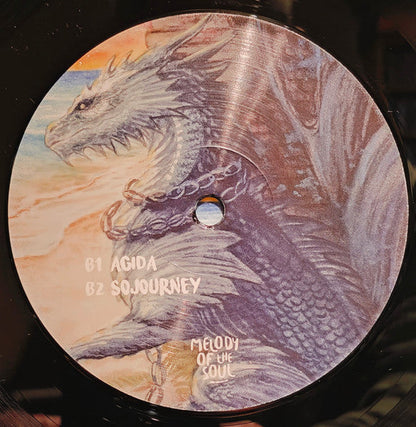 Zankee Gulati - Dark Side / Sojourney (VINYL 12") | Mint (M) Mint (M)
