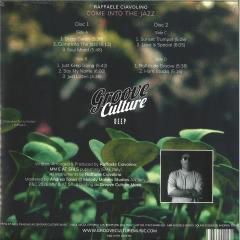 Raffaele Ciavolino - Come Into The Jazz (2xVINYL) | Mint (M) Mint (M)