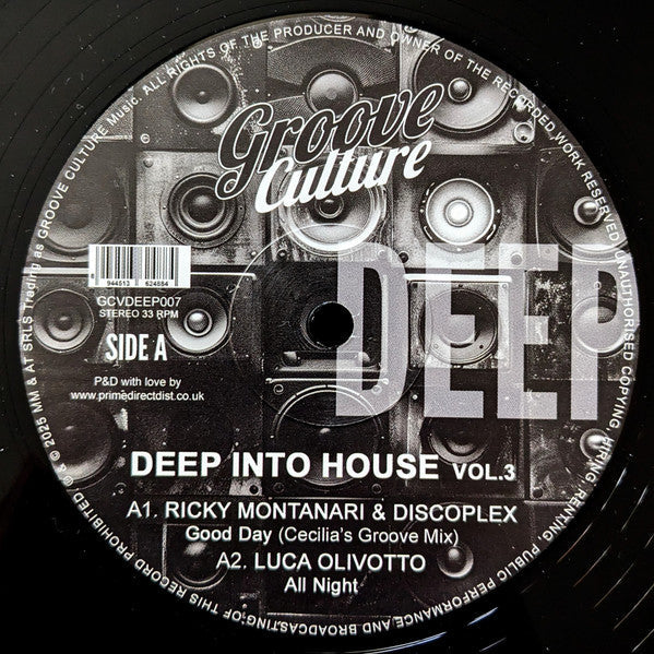 Various - Deep Into House Vol. 3 (VINYL 12") | Mint (M) Mint (M)