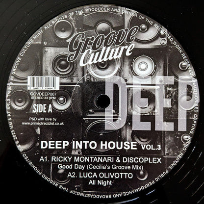 Various - Deep Into House Vol. 3 (VINYL 12") | Mint (M) Mint (M)