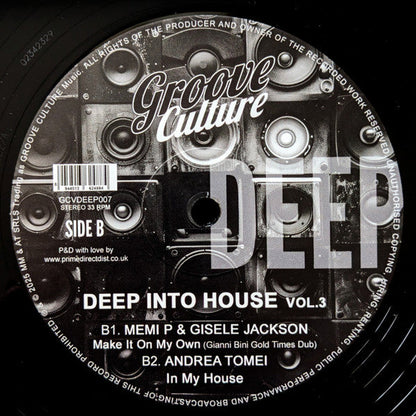 Various - Deep Into House Vol. 3 (VINYL 12") | Mint (M) Mint (M)