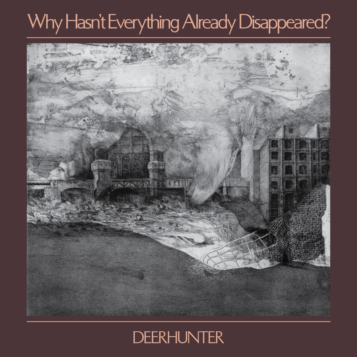 Why Hasn't Everything Already Disappeared? (COLOR VINYL) | Mint (M) Mint (M)