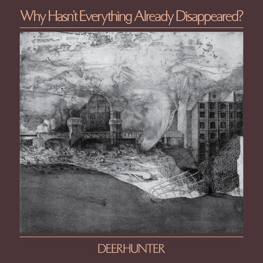 Why Hasn't Everything Already Disappeared? (COLOR VINYL) | Mint (M) Mint (M)