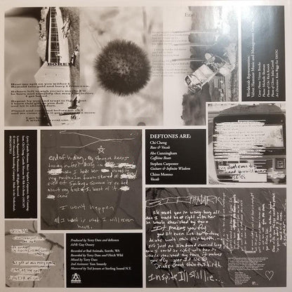 Adrenaline | Mint (M) Mint (M)