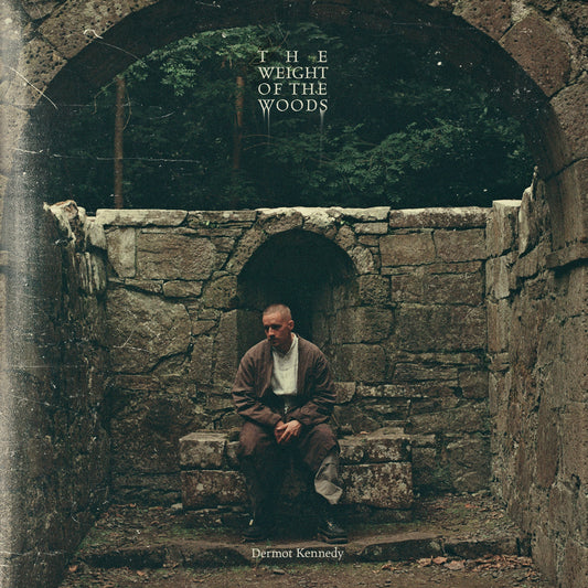 Dermot Kennedy - The Weight Of The Woods (VINYL) | Mint (M) Mint (M)