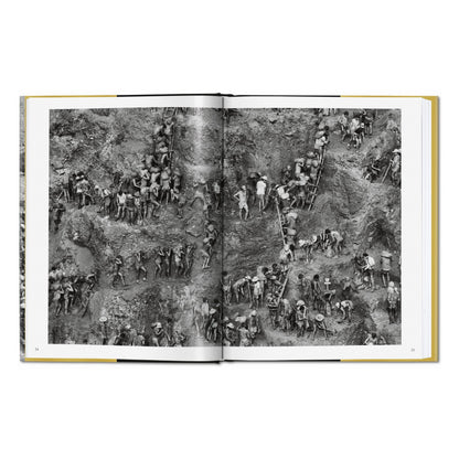 Sebastião Salgado. Gold (German, French, English)