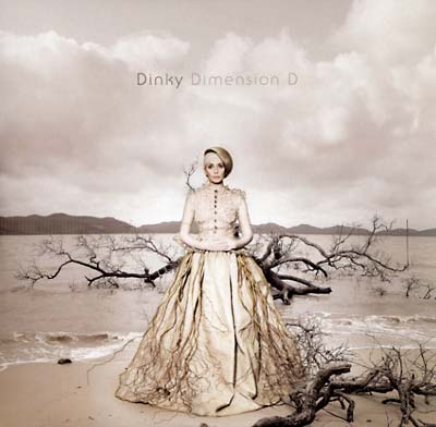 Dimension D |