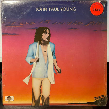 Love Is In The Air (VINYL) | Near Mint (NM) Near Mint (NM)