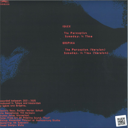 Igaxx, Gropina - The Perception (VINYL) | Mint (M) Mint (M)