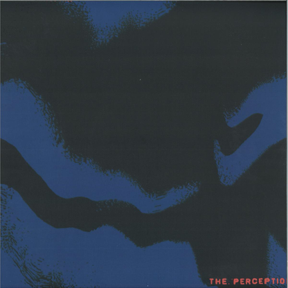 Igaxx, Gropina - The Perception (VINYL) | Mint (M) Mint (M)