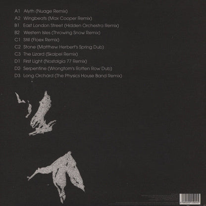 Hidden Orchestra - Dawn Chorus Remixes (2xVINYL) | Mint (M) Mint (M)