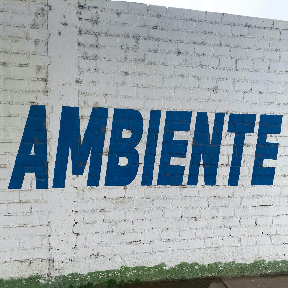 Jex Opolis - AMBIENTE (VINYL) | Mint (M) Mint (M)