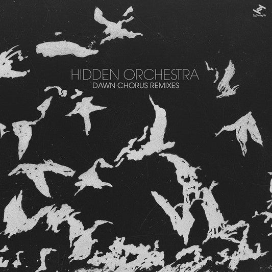 Hidden Orchestra - Dawn Chorus Remixes (2xVINYL) | Mint (M) Mint (M)
