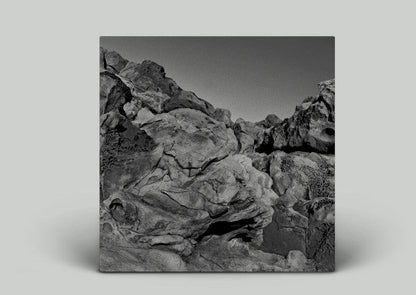 Pugilist - Found Sound (2xVINYL) | Mint (M) Mint (M)