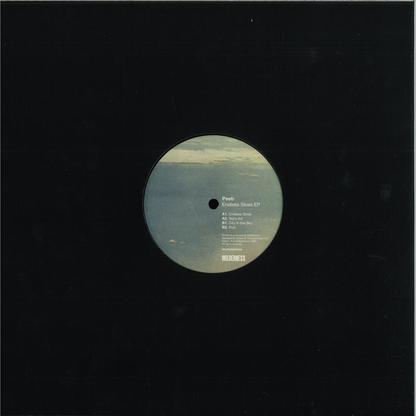 Peeb - Endless Skies EP (VINYL) | Mint (M) Mint (M)