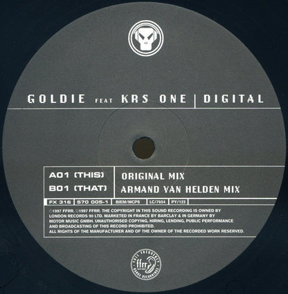 Goldie - Digital (12" VINYL) | Excellent (EX) Excellent (EX)