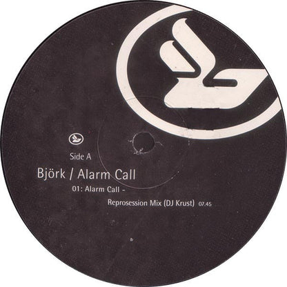Björk - Alarm Call (12" VINYL) | Very Good Plus (VG+)