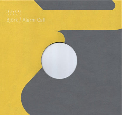 Björk - Alarm Call (12" VINYL) | Very Good Plus (VG+)