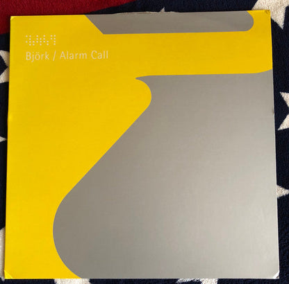 Björk - Alarm Call (12" VINYL) | Very Good Plus (VG+)