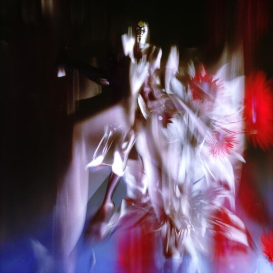 Polygonia - (PRESALE) Ceaseless Motion (VINYL) | Mint (M) Mint (M)
