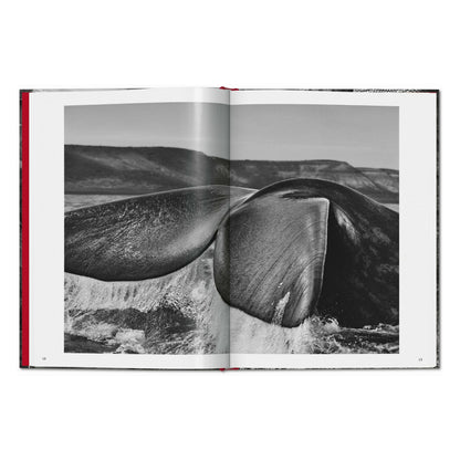 Sebastião Salgado. Genesis (English)