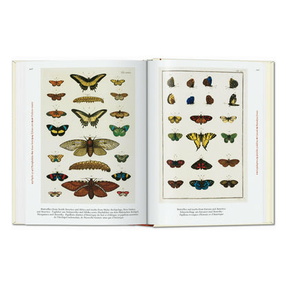 Seba. Cabinet of Natural Curiosities. 45th Ed. (German, French, English)