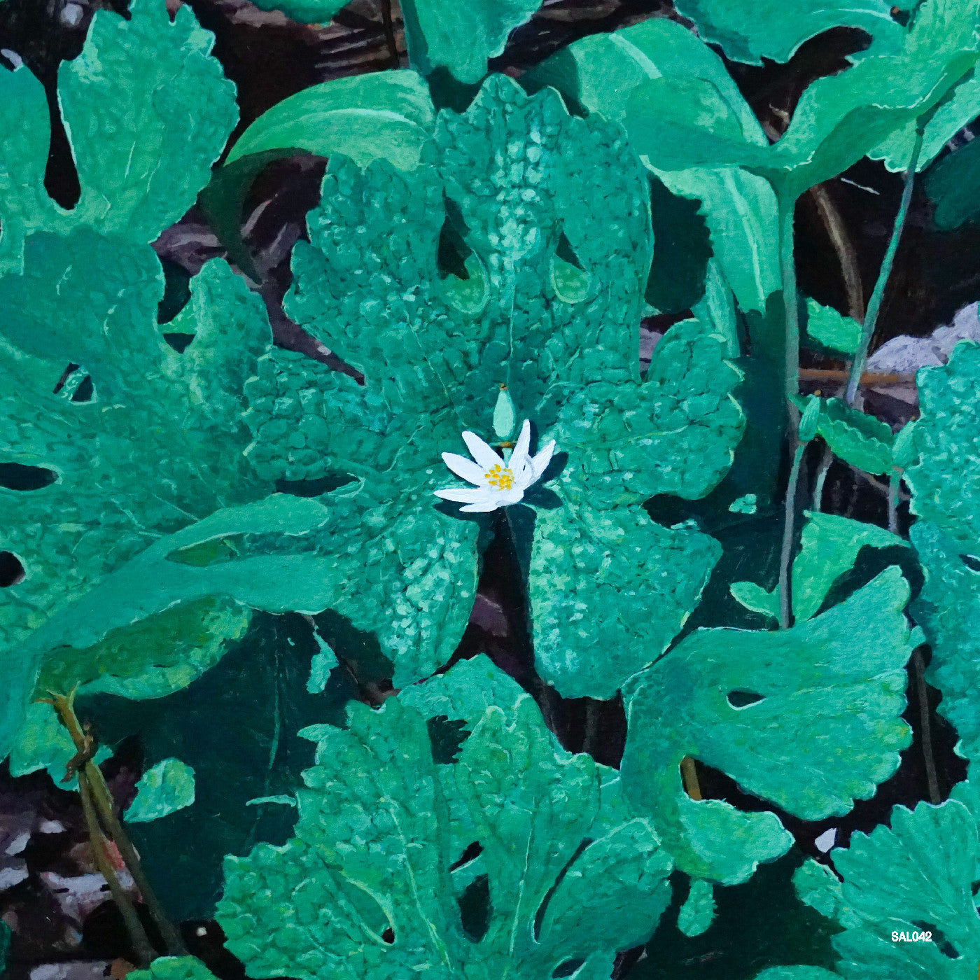 Wetland Interiors (VINYL) | Mint (M) Mint (M)