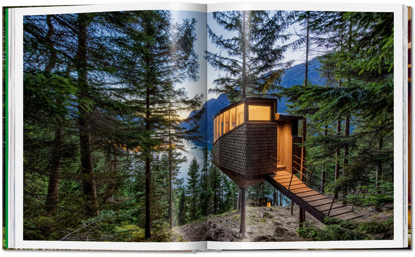 Modern Tree Houses (English)