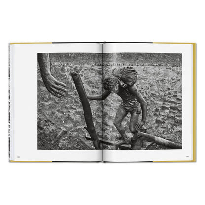 Sebastião Salgado. Gold (German, French, English)