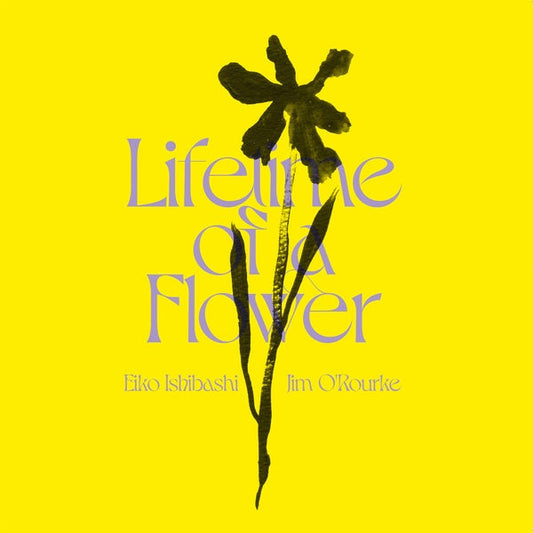 Lifetime of a Flower |