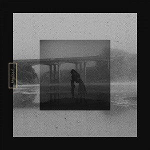 Braille - Mute Swan |
