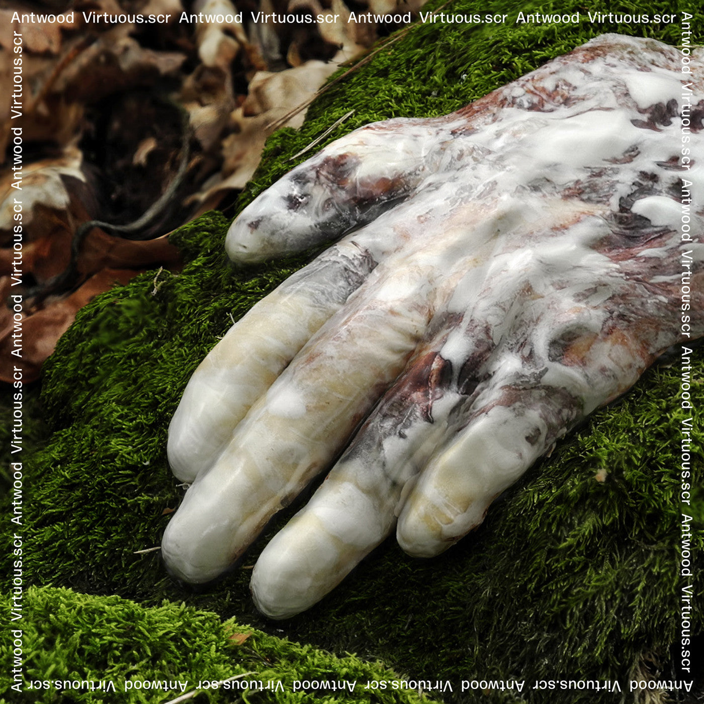 Antwood - Virtuous.scr |